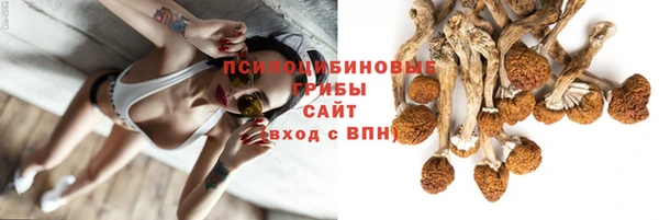 бошки Краснослободск