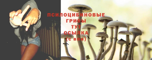 круглые Корсаков