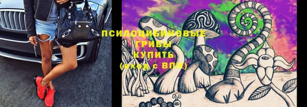 стаф Коряжма