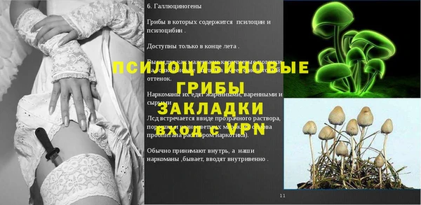 бошки Краснослободск