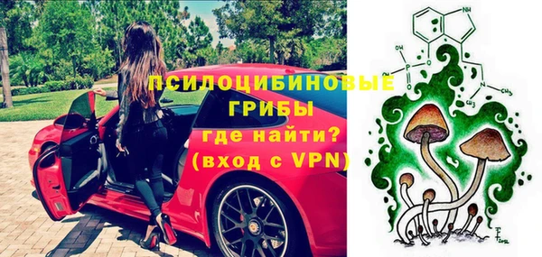 spice Куйбышев